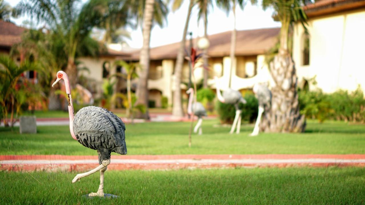 Ocean Bay Hotel & Resort Bakau Eksteriør bilde